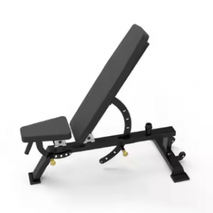 B2 commercial workout bench